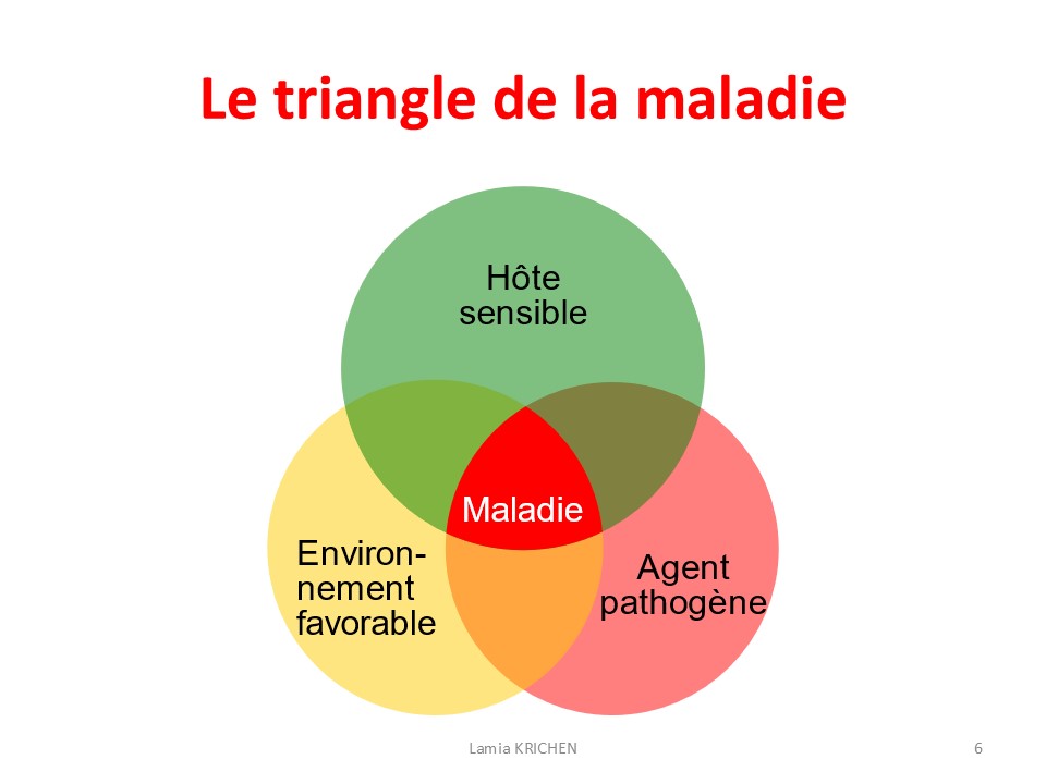 Interaction plantes pathogènes